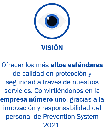vision